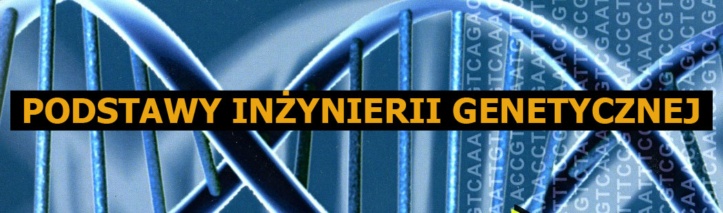 Podstawy inżynierii genetycznej