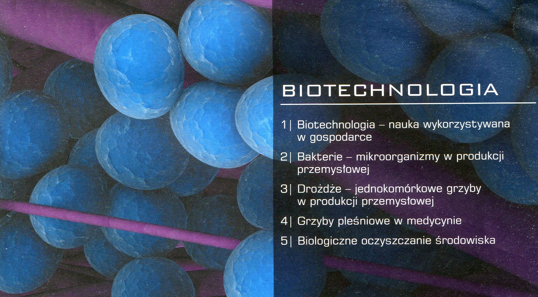 Biotechnologia